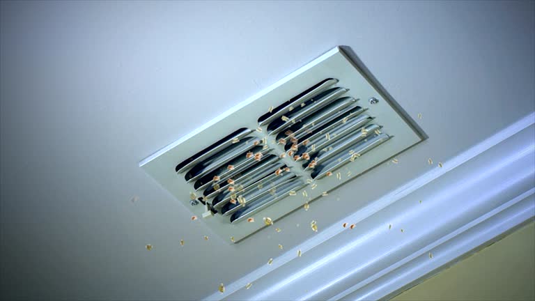 Best Commercial Air Duct Cleaning  in Tatamy, PA