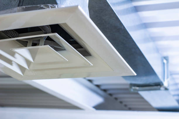 Air Duct Mold Removal in Tatamy, PA